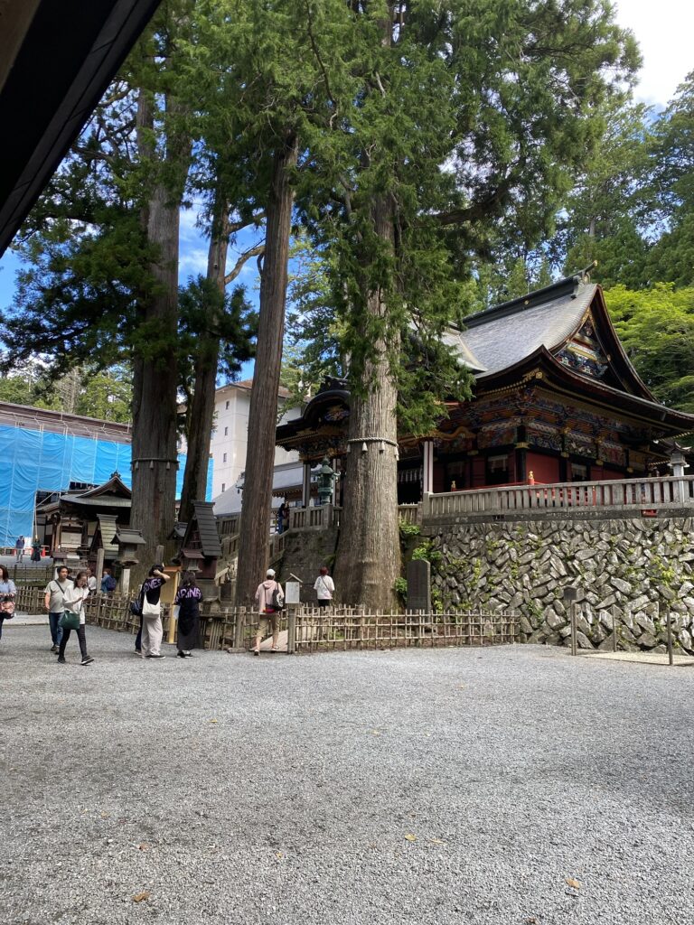 三峯神社の御神木