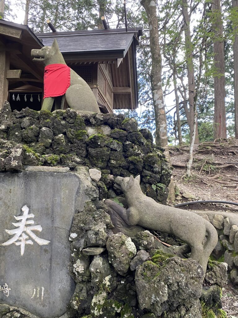 三峯神社の遠宮の御眷属様②