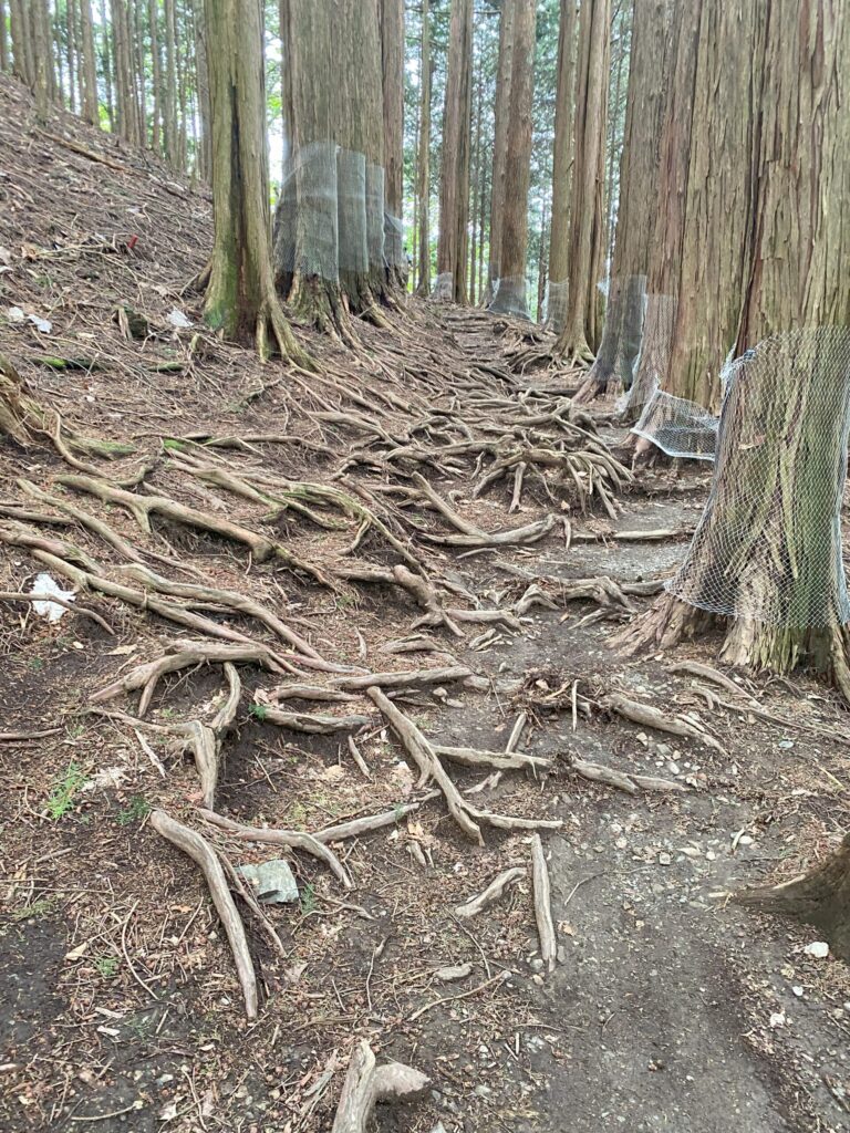 奥宮の登山道