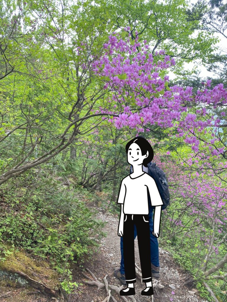 奥宮登山道の山つつじ