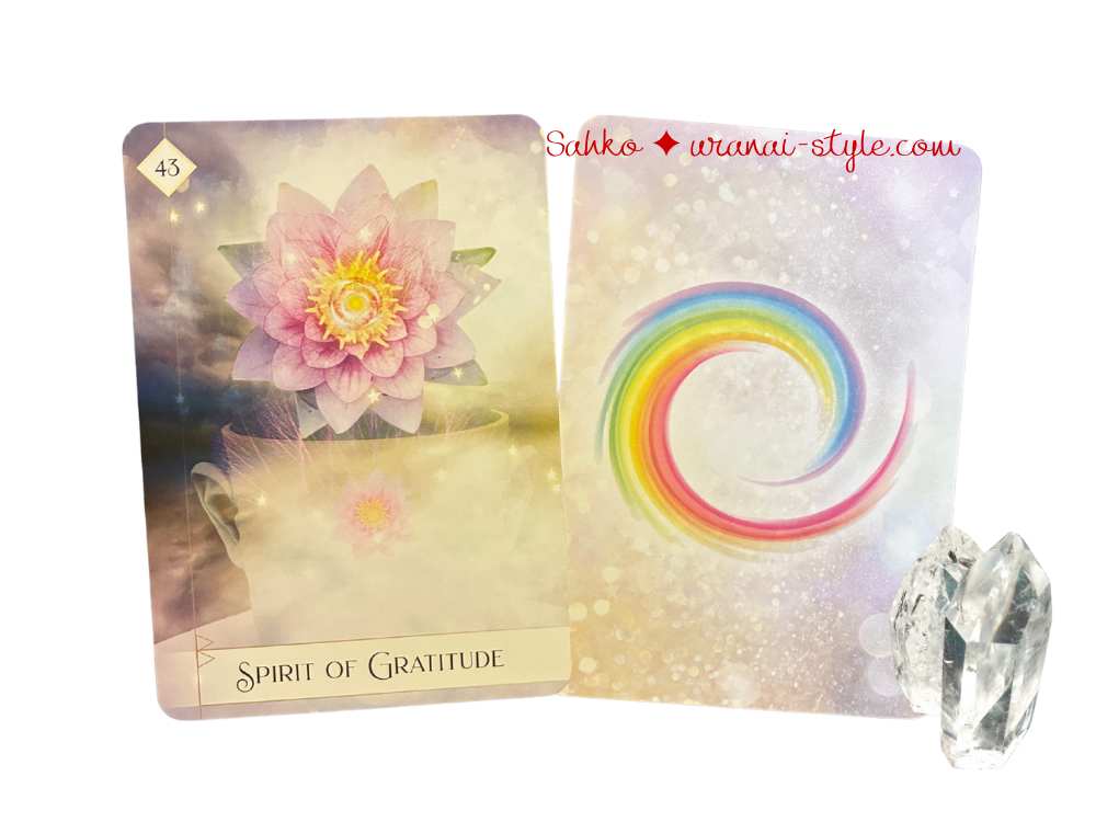 アイキャッチセブン43