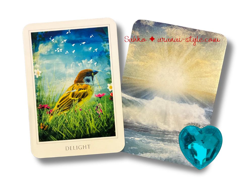 セイクレッド 8